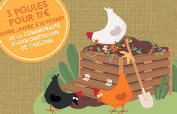 DES POULES POUR RÉDUIRE MES BIODÉCHETS
